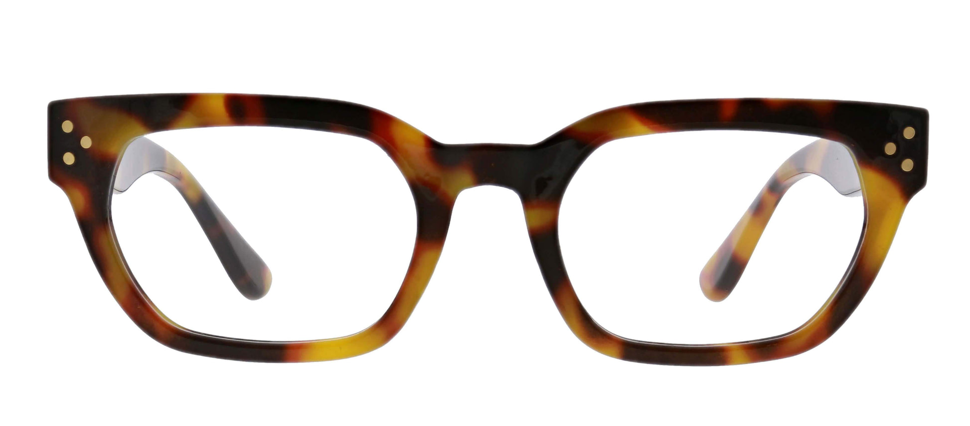 [Tortoise]