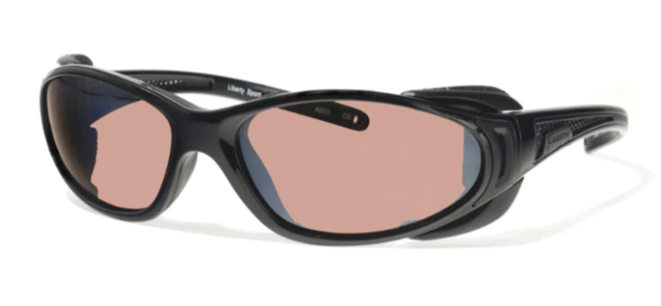 [Shiny Black/Matte Black]