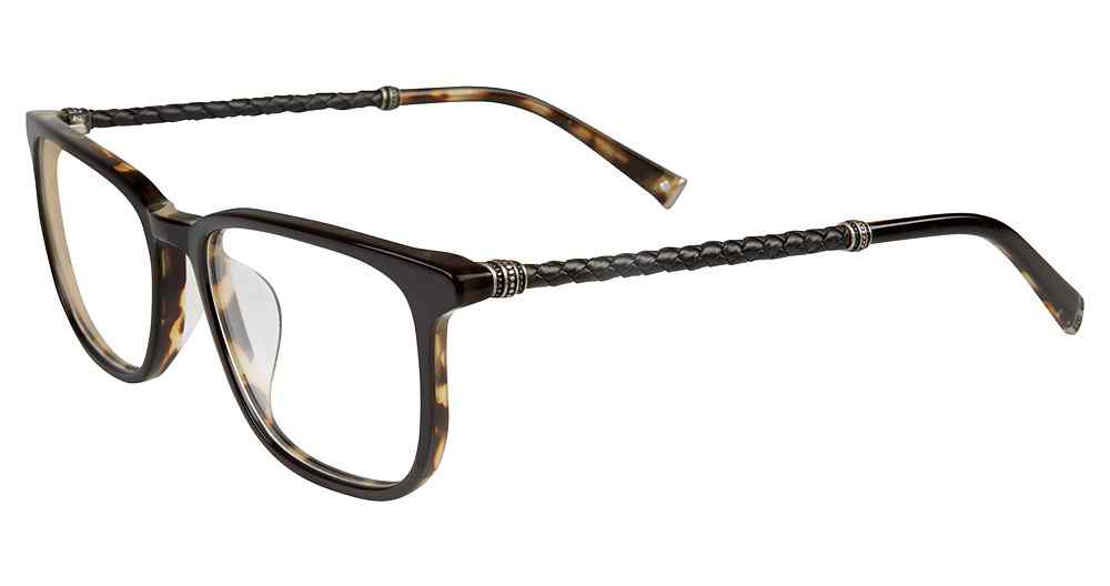 [Black Tortoise]