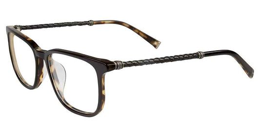 [Black Tortoise]