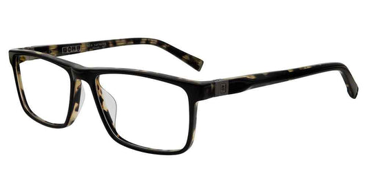 [Black Tortoise]