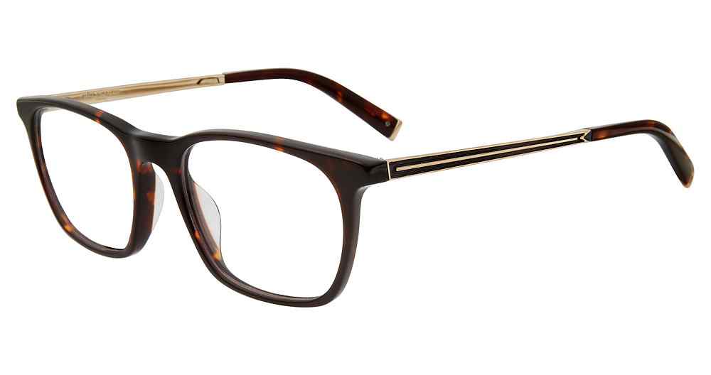 [Tortoise]