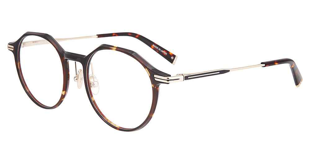 [Tortoise]