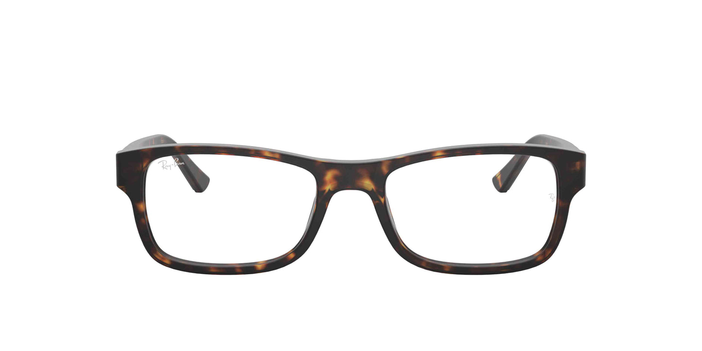 [Tortoise]