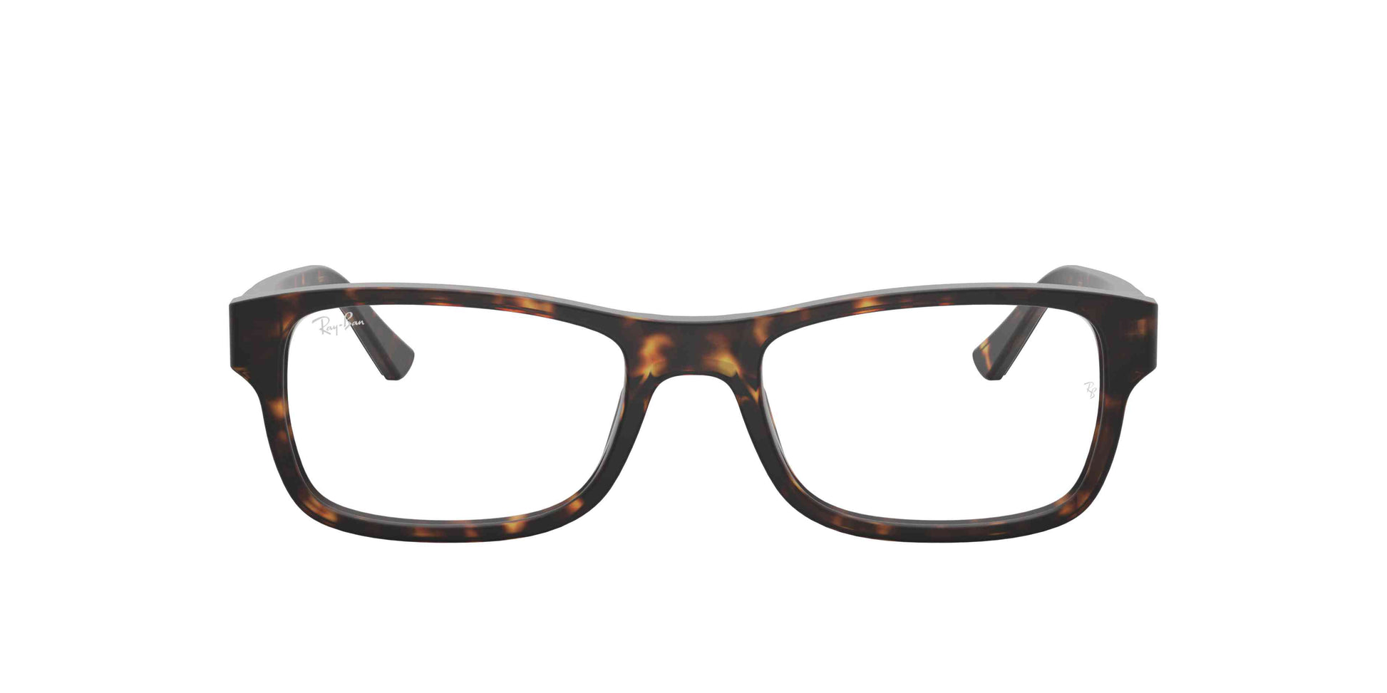 [Tortoise]