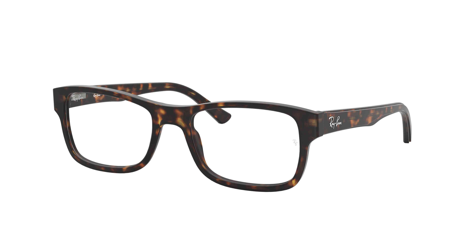 [Tortoise]