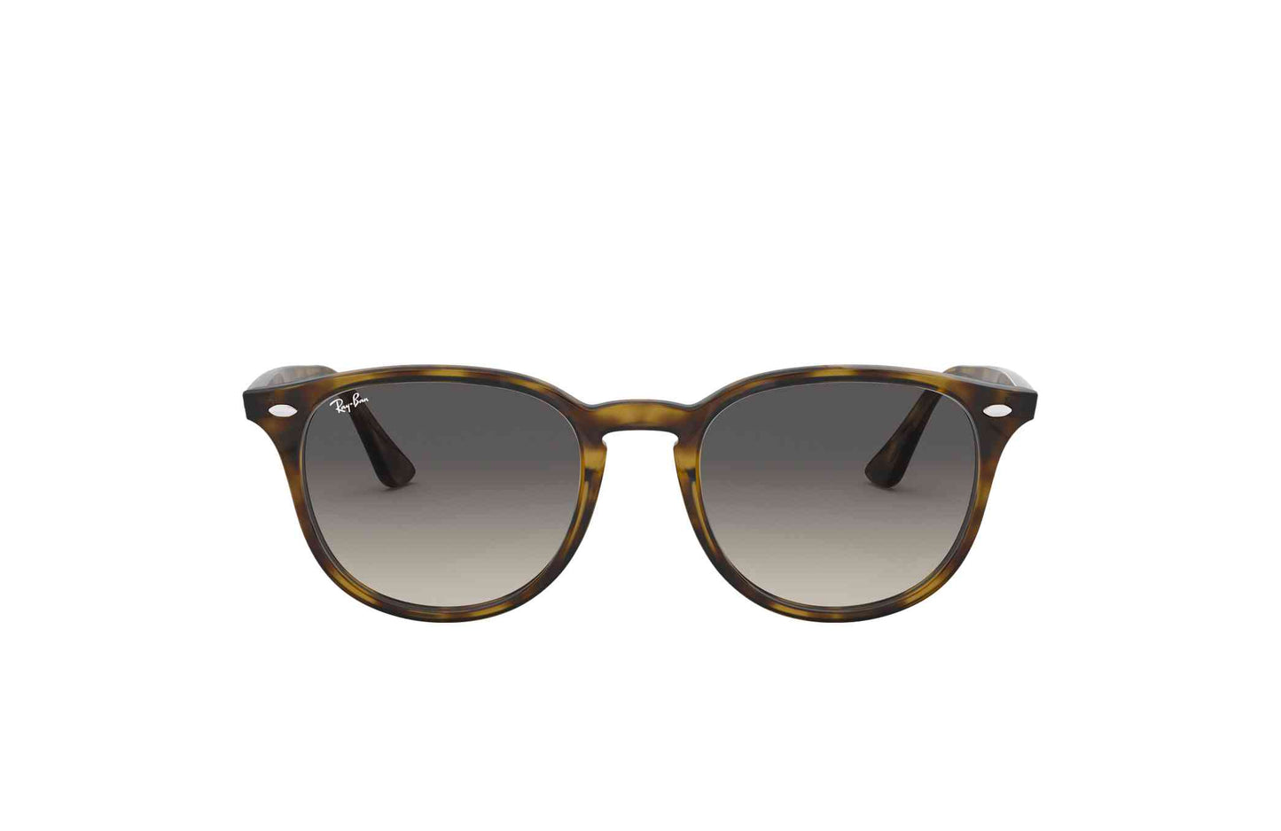 [Tortoise - Grey Gradient]