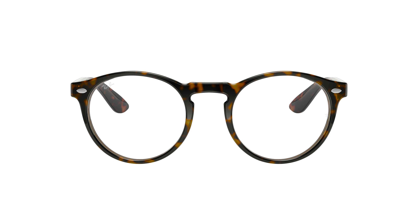 [Tortoise]