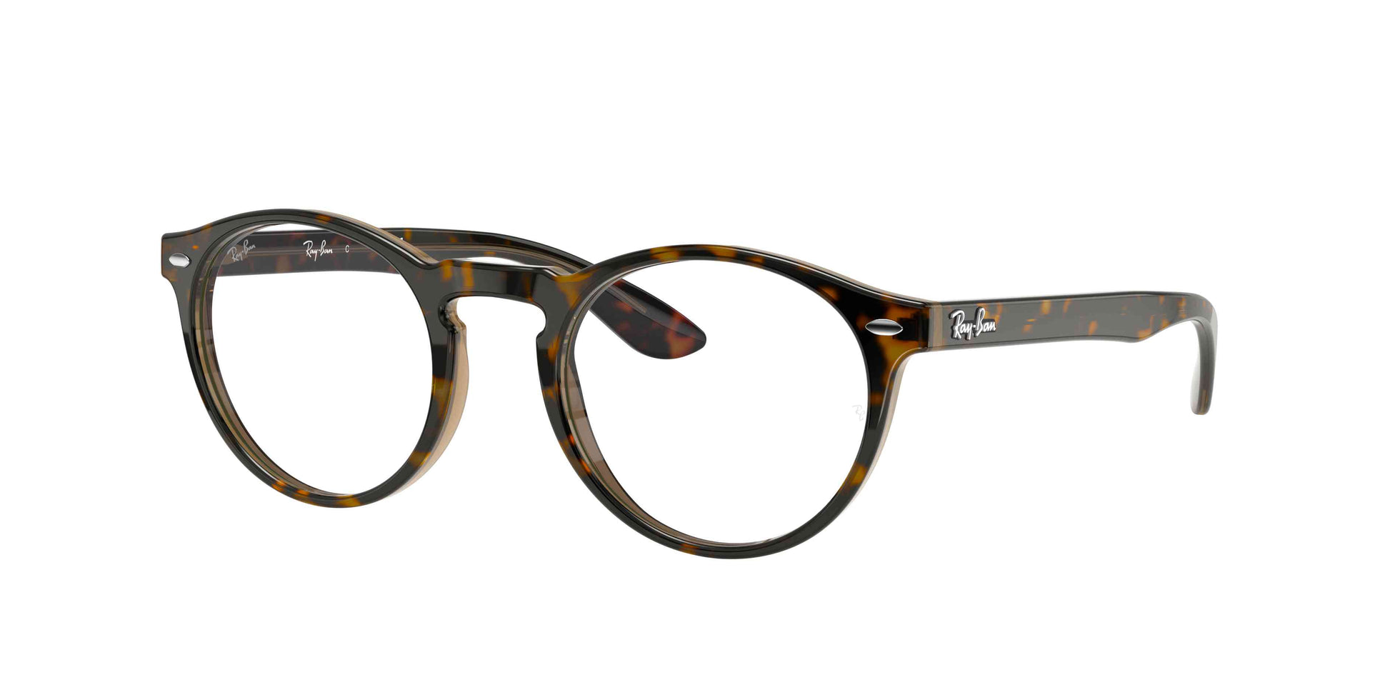 [Tortoise]