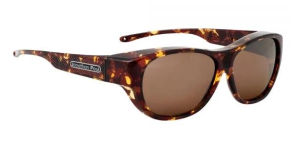 [Tortoise - Amber]