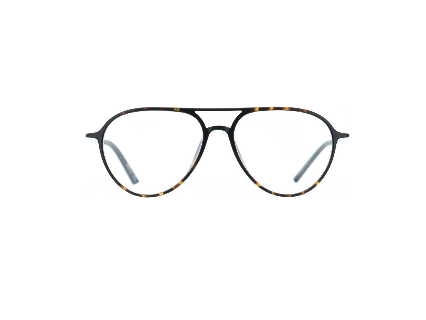[Tortoise]