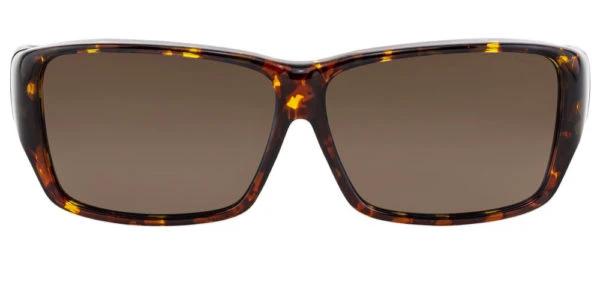 [Tortoise - Polarvue Amber]