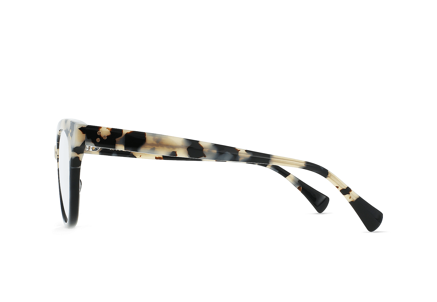 [Chai Tortoise + Black - Clear]
