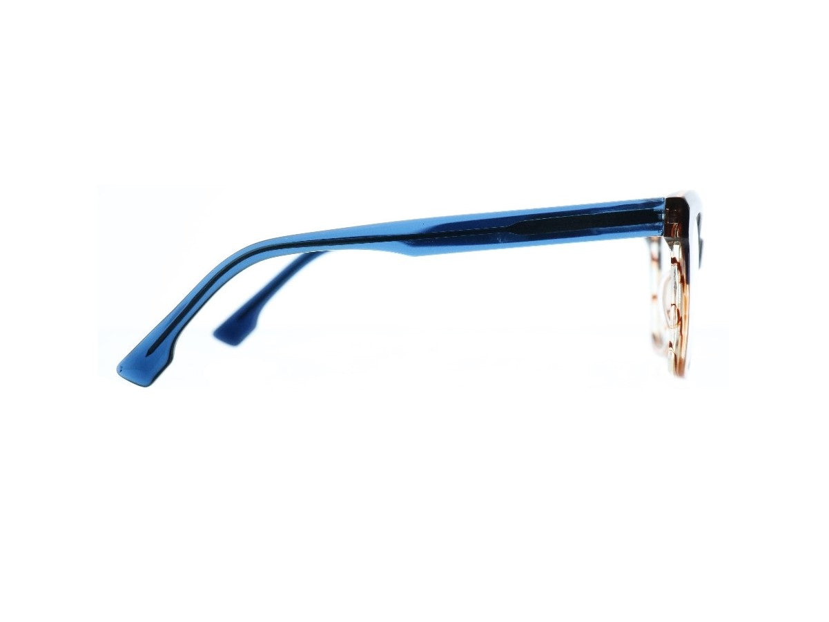 [Blue with Tortoise]